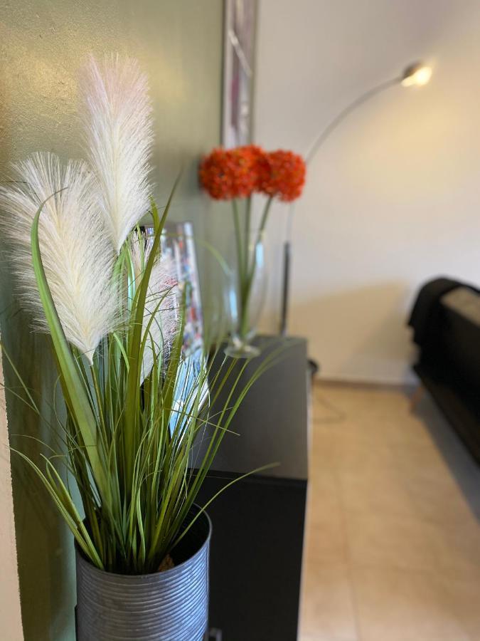 Appartements Vue Mer Saint-Florent  Exterior photo